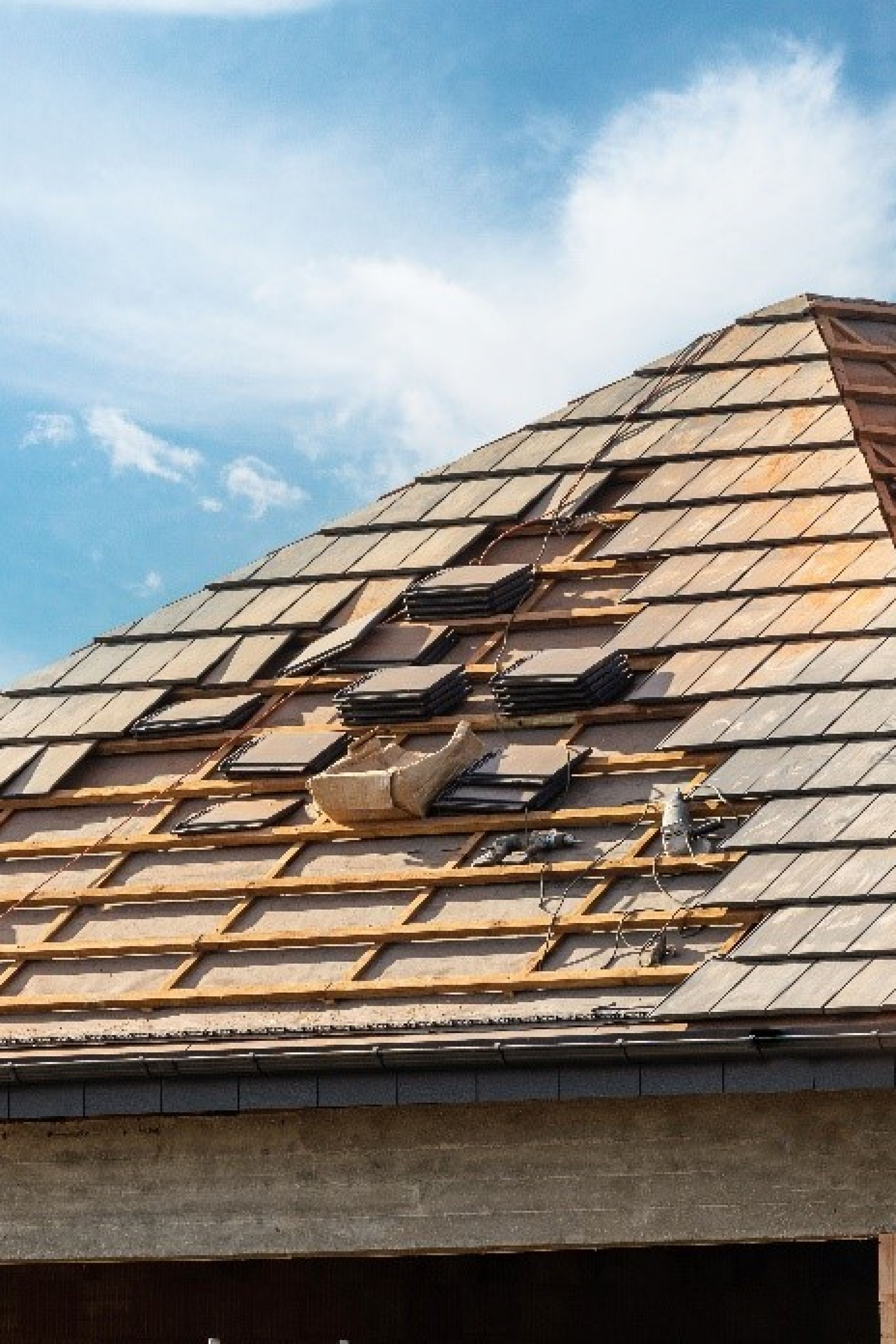 Roof Needs to be Replaced